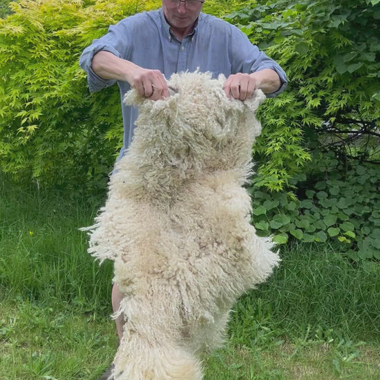 na het spoelen van de gevilte schapenvacht even de lokken losmaken